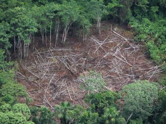 Aerial view of the Northern Amazon on June 11, 2007, in Peru. The pristine forest has borne the impact of roads into the forest and roadside urbanization. The Amazon is under threat from infrastructure development in Peru. (Brent Stirton/Getty Images)