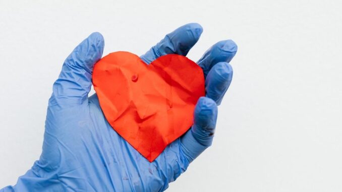 A device that repairs the heart's aortic valve without replacing it with a prosthetic valve is currently in human trials. (Karolina Grabowska/Pexels)