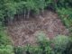 Aerial view of the Northern Amazon on June 11, 2007, in Peru. The pristine forest has borne the impact of roads into the forest and roadside urbanization. The Amazon is under threat from infrastructure development in Peru. (Brent Stirton/Getty Images)