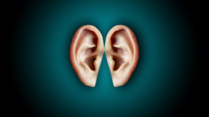 1ecc18de-e976-426f-ad22-e75d9e3bd03a strongDespite experiencing symptoms that could point to difficulty, 68 percent of 2,000 UK customers polled said they had never gone for a basic hearing test. BASTIAN RICCARDI/PEXELS/strong