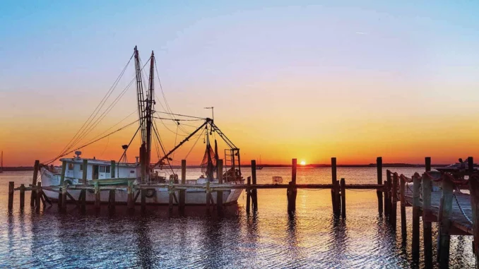 Amelia-Island-fishing copy